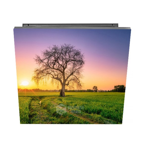 Видеоэкран для улицы Серия ST-F Q3.07-ECO