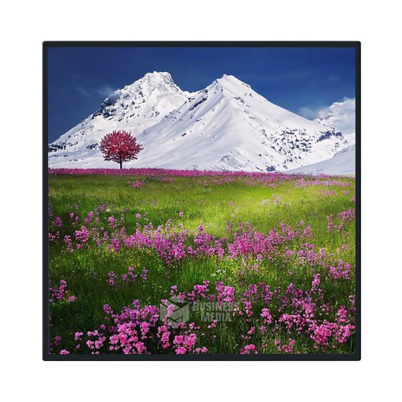 Видеоэкран для улицы Серия LITE Q4-ECO